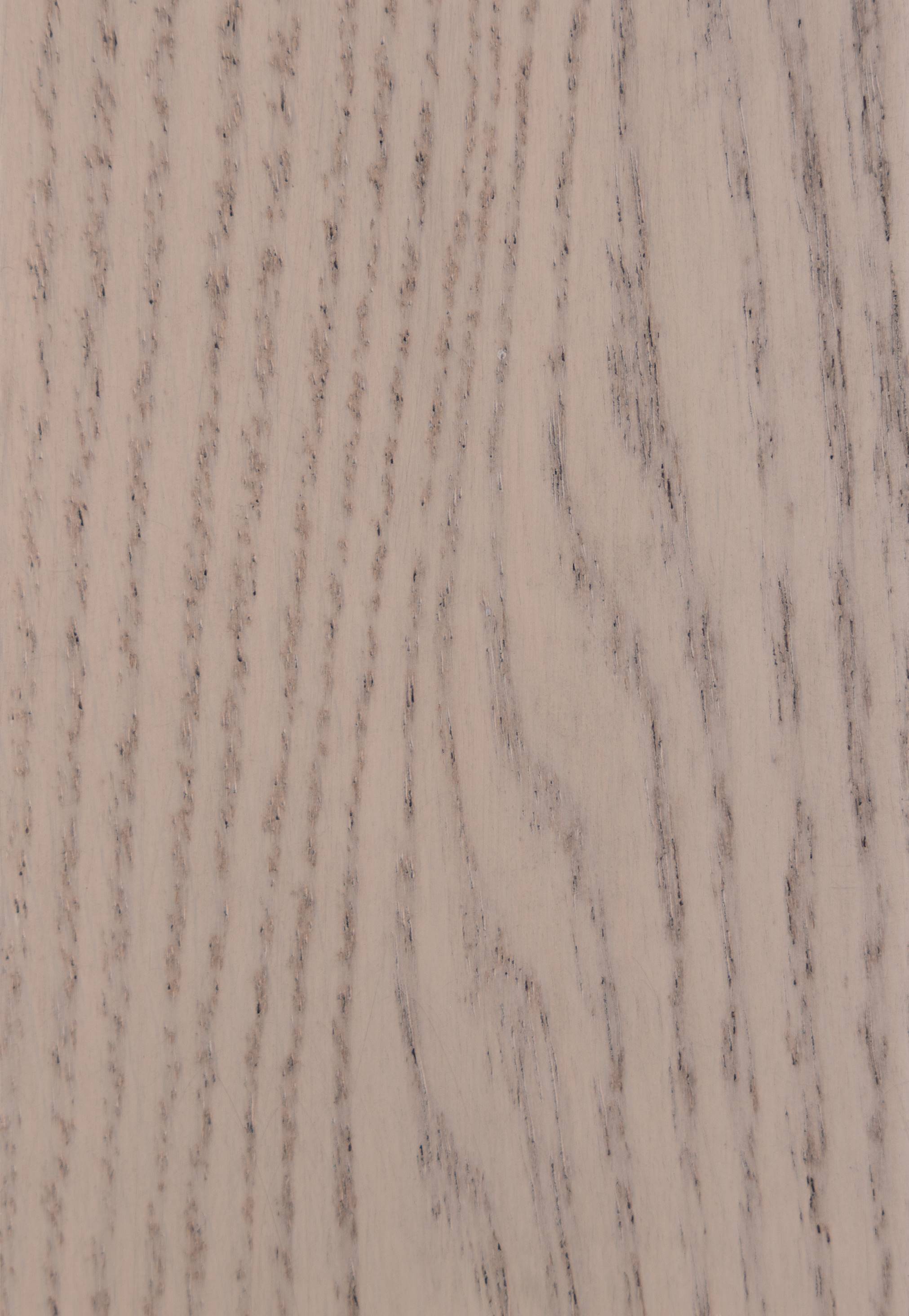 Coastal mist oak